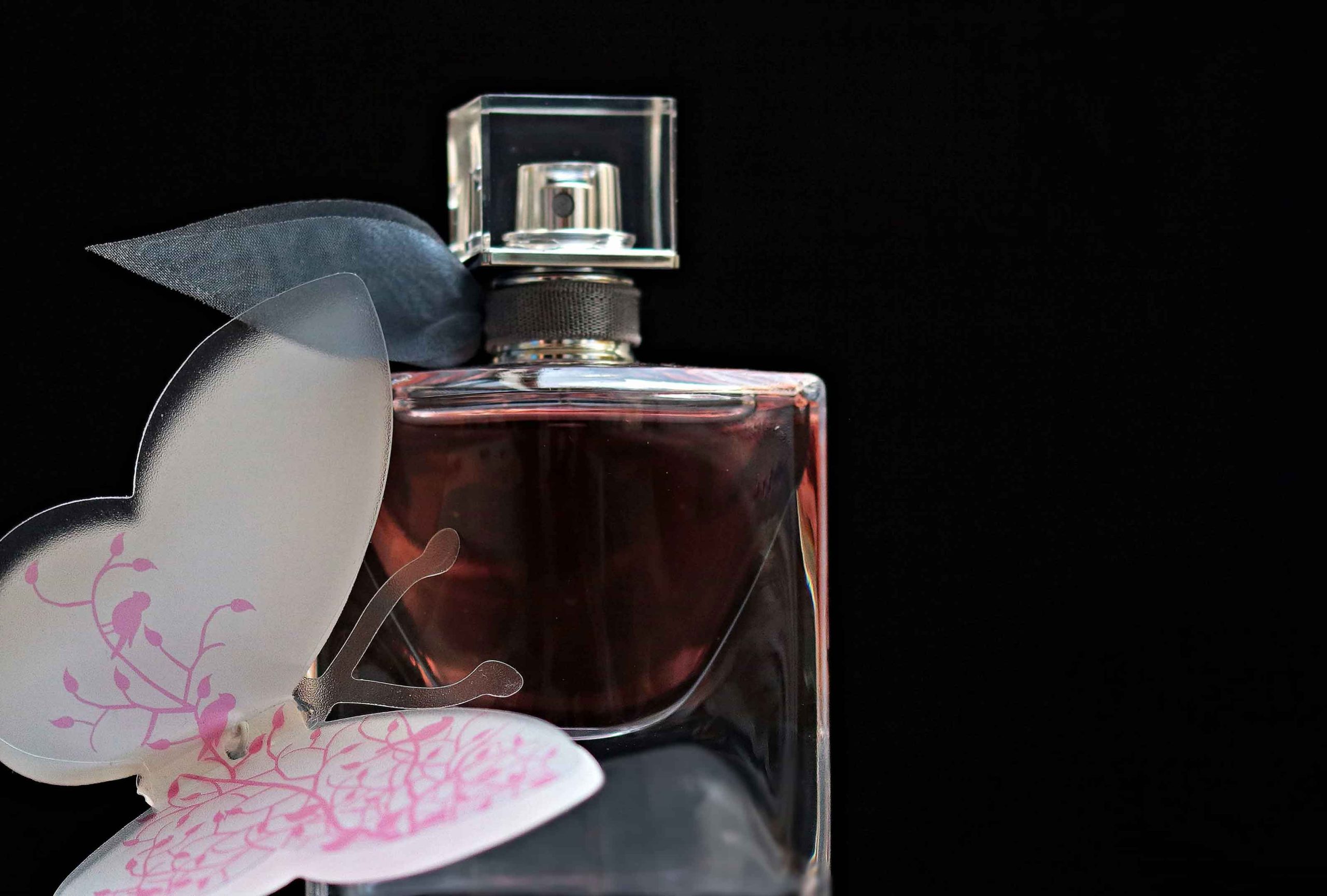 Tanaman Kemenyan dan Manfaatnya untuk Bahan Parfum Mahal